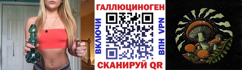 Галлюциногенные грибы Cubensis Бронницы