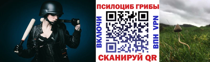 hydra ТОР  Бронницы  Галлюциногенные грибы Psilocybine cubensis  купить закладку 